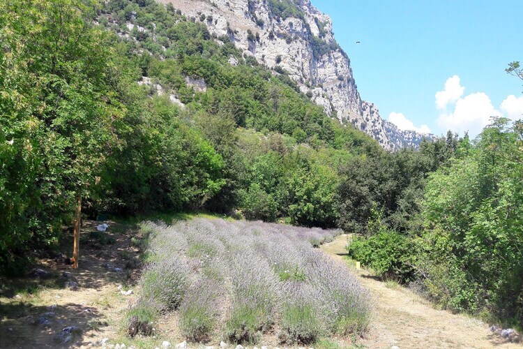 La Maison du Paysan – 8 pers. au Bar-sur-Loup - Photo 23