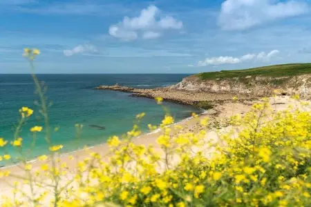 TY OUESSANT, Retraite côtière de Plouguerneau avec jardin - Photo 34