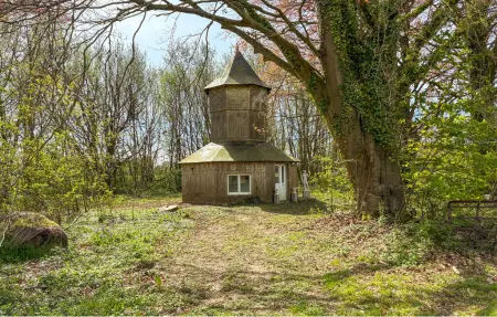 Le Château – Maison 11 chambres, 5 hectares en Normandie : photo 12