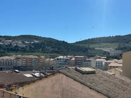 Appartement vue port Port-Vendres 6 pers. : photo 29