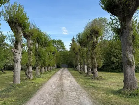 Gîte 12 pers. sur 5 hectares avec étang à Villechétif : photo 32