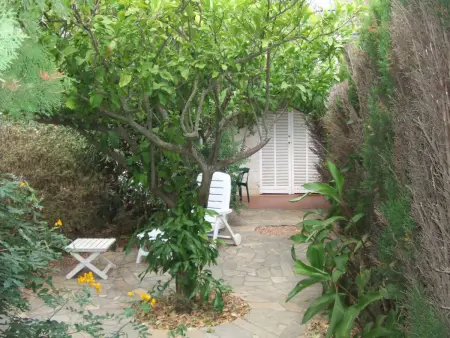T3 Porquerolles, 6 pers., jardinet près plage : photo 3