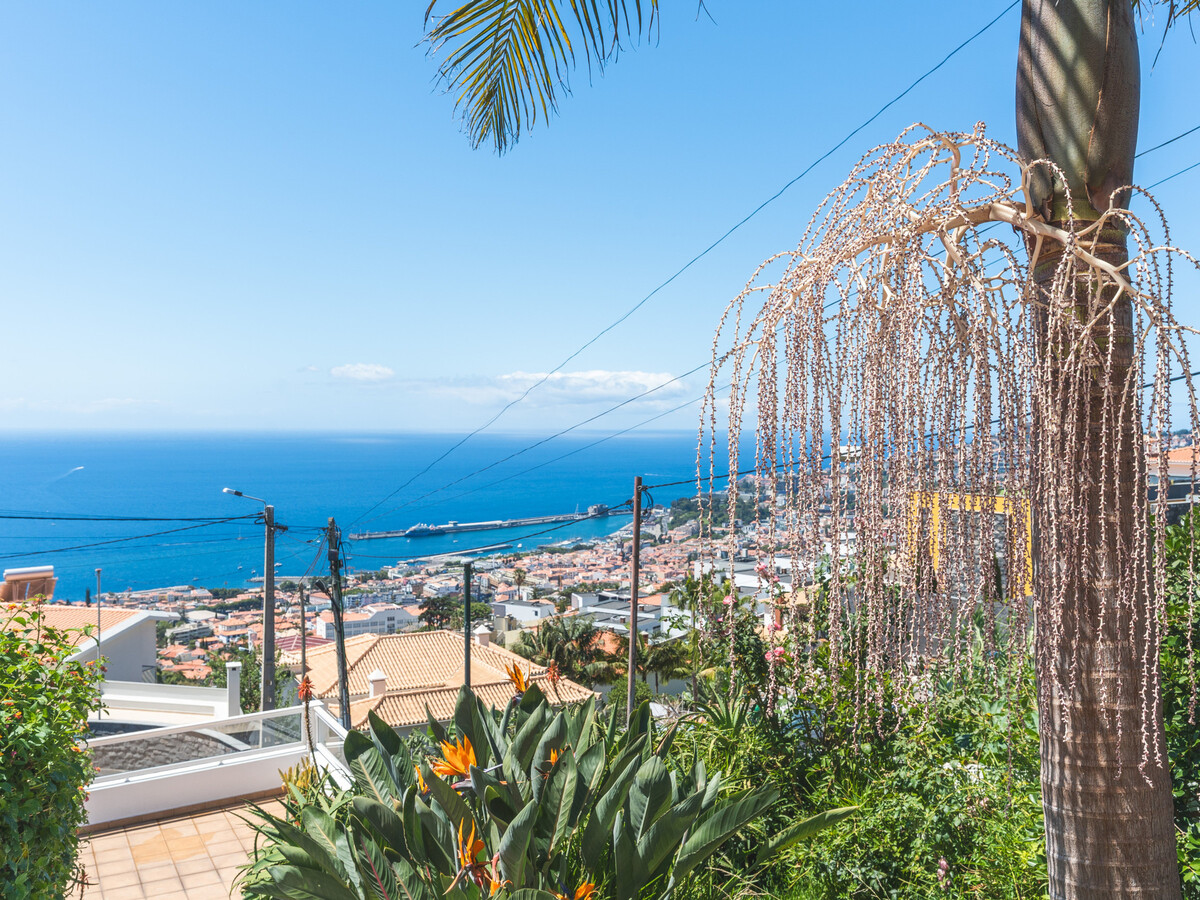 Maison Funchal : jacuzzi, clim et vue panoramique - Photo 34