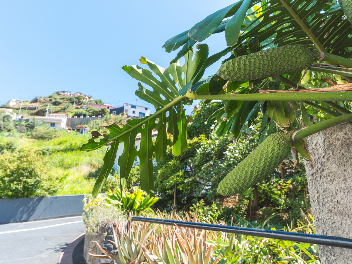 Solarium Villa – Maison 8 pers., 3 chambres, clim à Machico - Photo 33