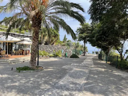 Appartement vue mer Funchal, balcon & piscines naturelles : photo 28