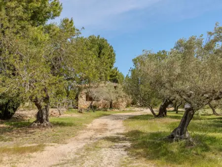 Maison Els Pins 4 pers, 2 km de la plage : photo 28
