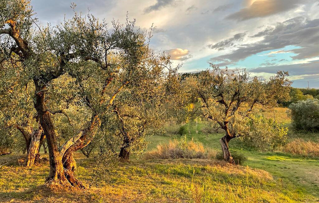 Maison 8 personnes à Casciana Terme - Photo 35