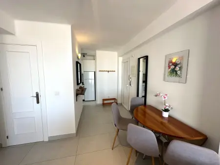 Appartement 60 m², vue mer et montagne à Nerja : photo 14