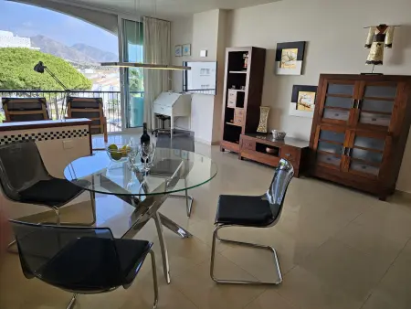 Appartement vue mer en front de plage à Nerja : photo 11