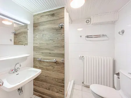 La Maisonnette, appart 8 pers. vue Aiguilles d'Arves : photo 13