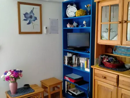 T2 cabine climatisé avec loggia - Bormes-les-Mimosas : photo 4