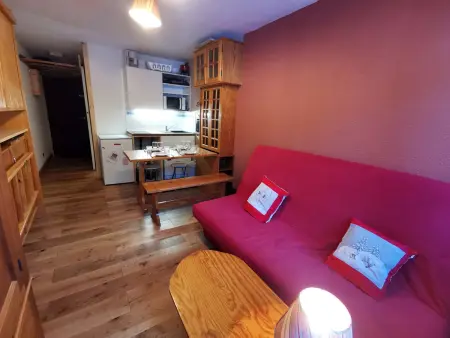 Studio 3 pers. au pied des pistes aux Adrets-Prapoutel : photo 3