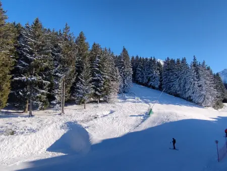 Studio 3 pers. au pied des pistes aux Adrets-Prapoutel : photo 7
