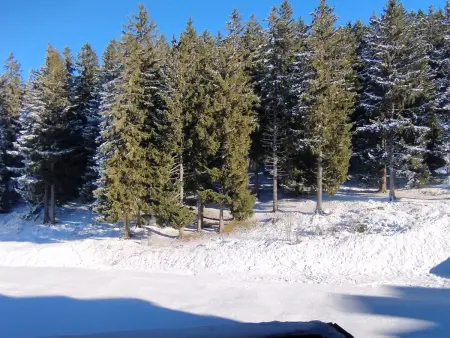 Studio 3 pers. au pied des pistes aux Adrets-Prapoutel : photo 8
