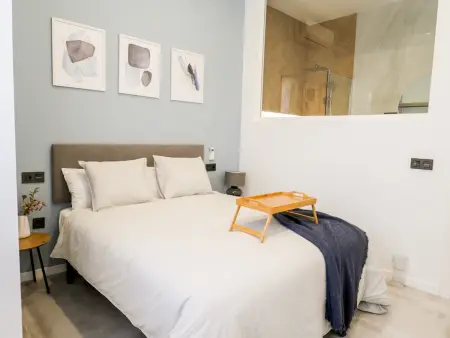 Appartement 1 chambre, 48 m², clim - Fuengirola : photo 15
