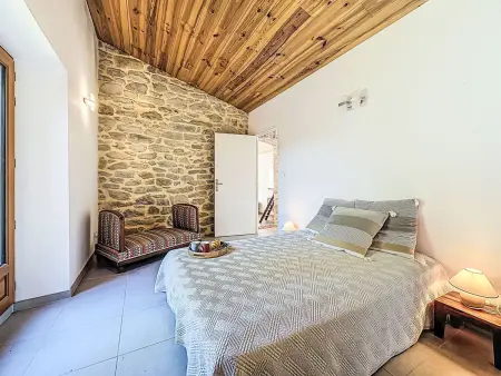 Mas des Vignes, maison 14 pers. piscine à Servas : photo 4