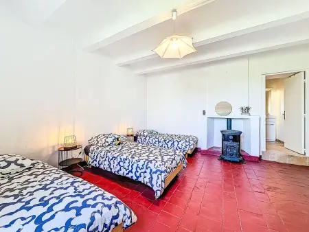 Mas des Vignes, maison 14 pers. piscine à Servas : photo 39