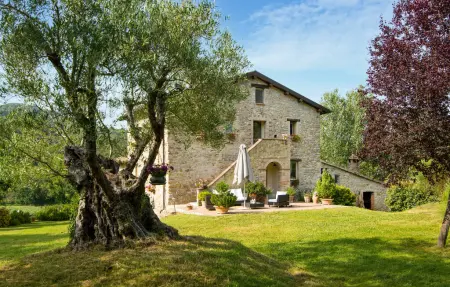 Maison en pierre 11 personnes, piscine et jacuzzi en Ombrie : photo 13