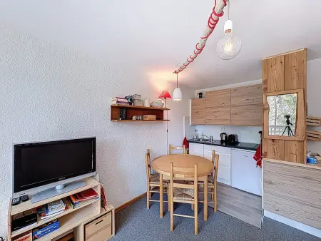Studio 30 m² au pied des pistes - La Salle-les-Alpes : photo 3