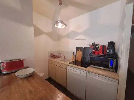Studio 36m² aux Deux Alpes, pied des pistes : photo 5