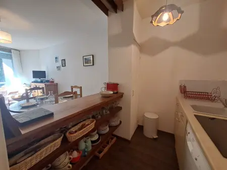Studio 36m² aux Deux Alpes, pied des pistes : photo 6