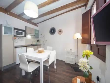 Appartement 64 m² centre piéton Grenade, 15 min Alhambra : photo 5
