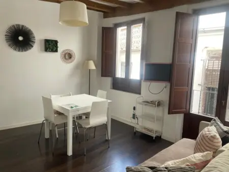 Appartement 64 m² centre piéton Grenade, 15 min Alhambra : photo 8