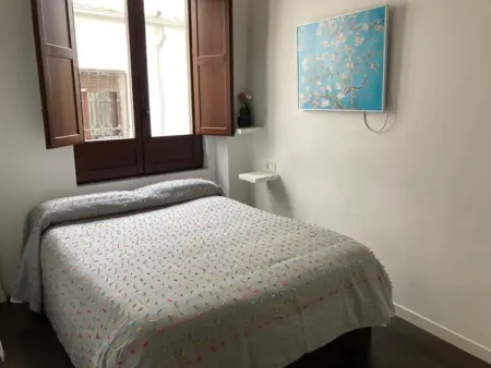 Appartement 64 m² centre piéton Grenade, 15 min Alhambra : photo 14