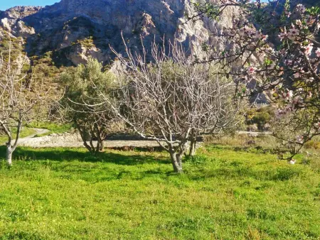 Cortijo AguaChá, maison andalouse avec piscine : photo 30