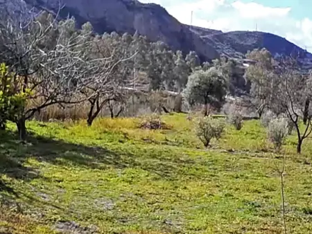 Cortijo AguaChá, maison andalouse avec piscine : photo 32