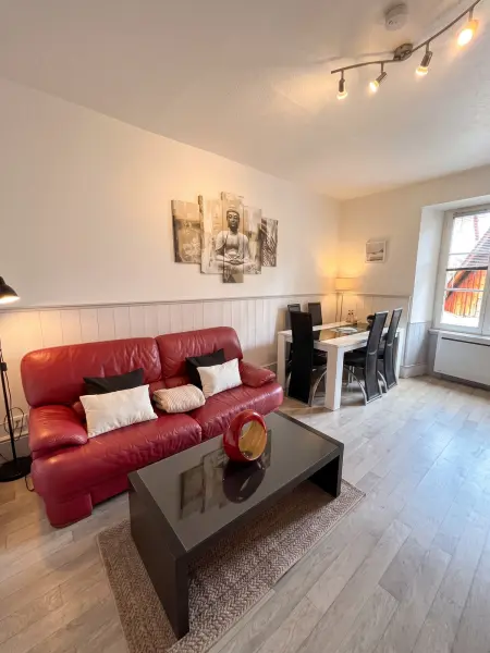 Appartement 2 étoiles de 40 m² au cœur de Riquewihr : photo 3