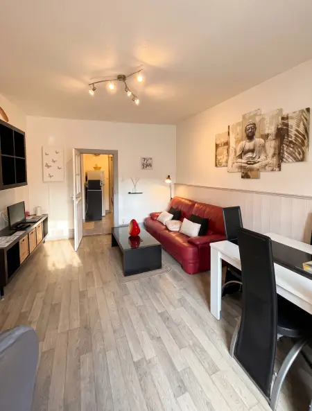 Appartement 2 étoiles de 40 m² au cœur de Riquewihr : photo 7