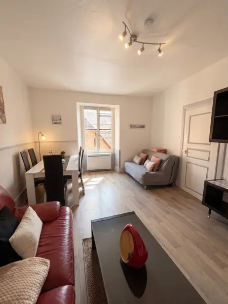 Appartement 2 étoiles de 40 m² au cœur de Riquewihr : photo 9