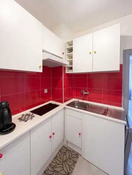 Appartement 2 étoiles de 40 m² au cœur de Riquewihr : photo 11