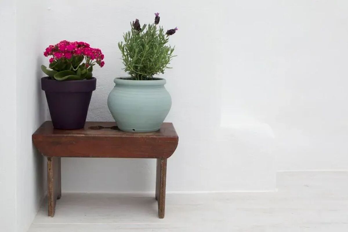 Maison 3 chambres Formentera, vues mer et jardin - Photo 6