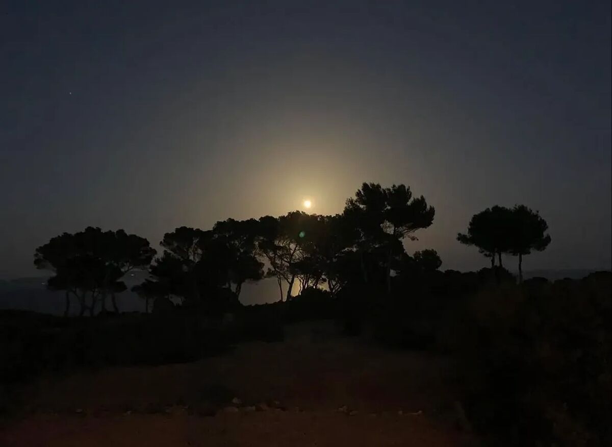 Maison 3 chambres Formentera, vues mer et jardin - Photo 28