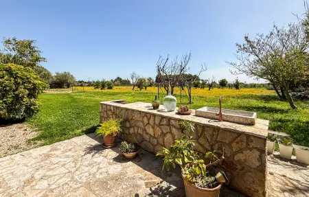 Can Mayol, finca majorquine 12 pers. avec piscine : photo 15