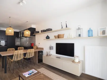 Appartement 2 pièces climatisé, terrasse 12m² - Grau-du-Roi : photo 10