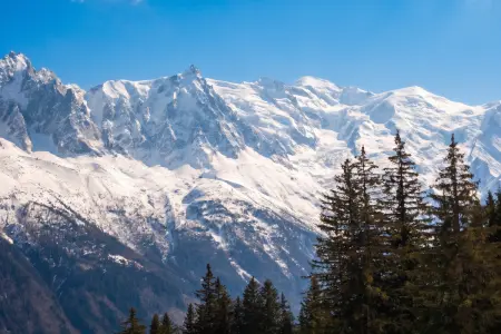 Appartement avec balcon vue montagne à Chamonix-Mont-Blanc : photo 18