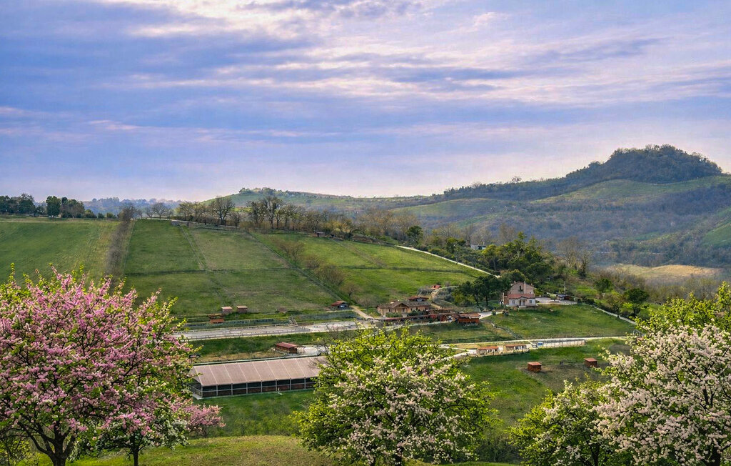 Casale Rifugio Dei Sogni, maison 12 pers. à Fermo - Photo 10
