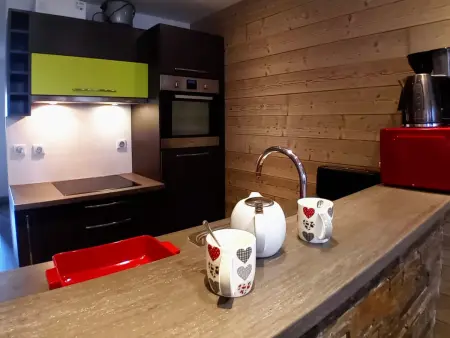 Duplex 75m² vue montagne, 3 chambres, animaux OK : photo 3