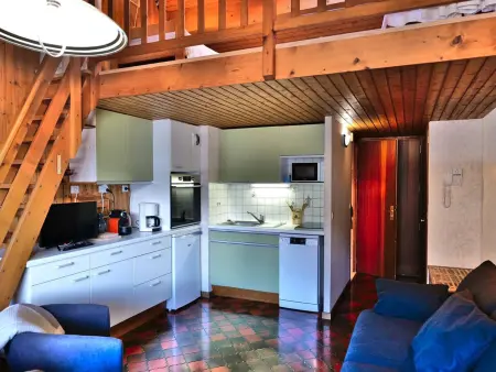 Studio mezzanine 4 pers. au cœur du Grand-Bornand : photo 1