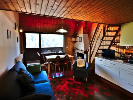 Studio mezzanine 4 pers. au cœur du Grand-Bornand : photo 6