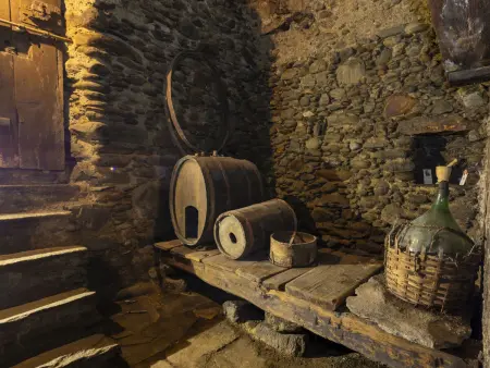 Antica Dimora Riat – Appartement rénové Valtellina : photo 39