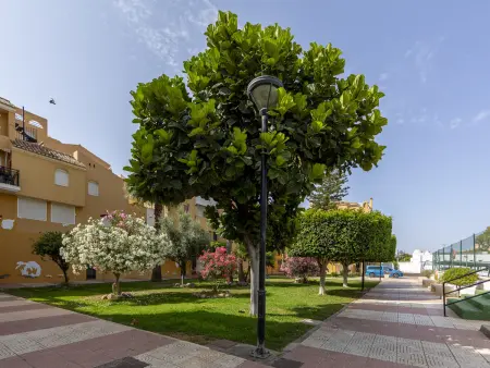 Appartement 6 pers. avec terrasse 49m² à Roquetas de Mar : photo 28