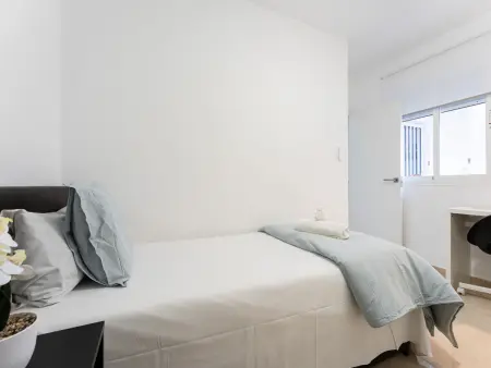 Appartement rénové centre Málaga, cour intérieure : photo 23
