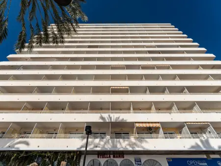 Appartement 1 chambre à 500 m du port de Fuengirola : photo 24