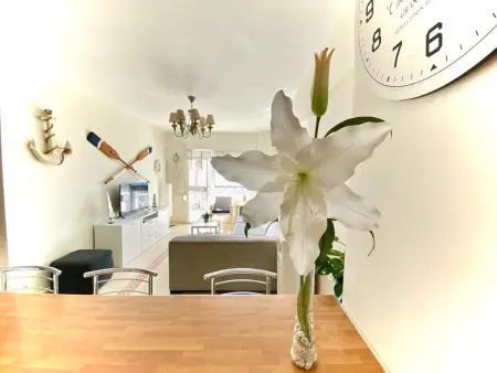 Appartement vue mer Playa Malagueta, 1 chambre : photo 11