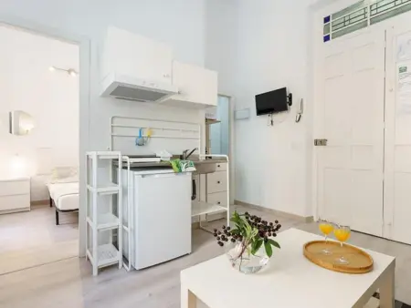 Appartement 30m² rénové à El Soho, Málaga : photo 14