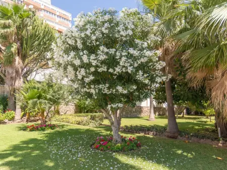 Appartement 2 ch, piscine, parking à 5 min de plage : photo 27